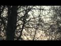 videos de Test shots with canon xh a1