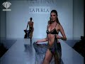 I love Fashion TV