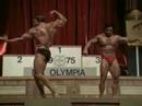 bodybuilder bodybuilder