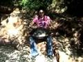 dizzi dulcimer playing hang drum from panart
