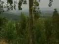 videos de 