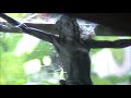 Loosey Goosey MGBailey HQ Video EH Ent