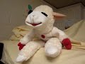 few people know that lambchop and freddy mercury are actually the same person