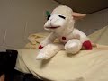 lambchop sings queen