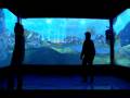 videos de Multi_Modal_Tracking.mov