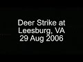 deer strike at leesburg va  kjyo 