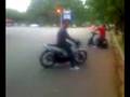 videos de alam design