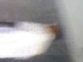 paulraj