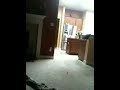 Crazy dobies