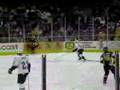 San Diego Gulls @ Stockton Thunder