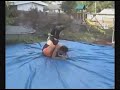 810 Splash 810 Splash
