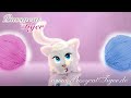 Pussycat Tiger - Du kleiner Tiger