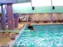 Diving Board Stack