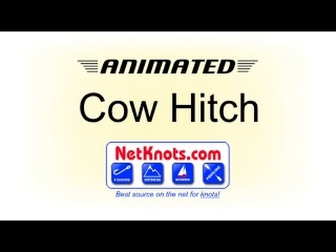 how to tie cow hitch