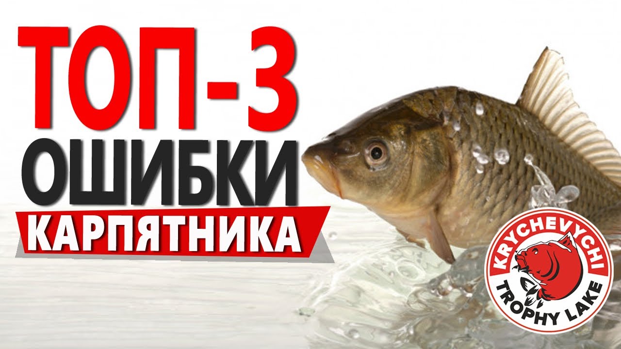 клюет ли карп в ветреную погоду