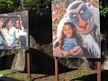Wild Life Express Train Ride at Animal Kingdom