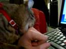 Moxie finds my hand to be deliciously filthy Moxie finds my hand to be deliciously filthy