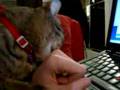 Moxie finds my hand to be deliciously filthy