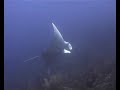 St Eustatius