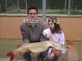 club de pesca glanis remix club de pesca glanis remix