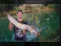 club de pesca glanis remix