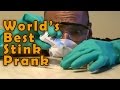 World's Best Stink Prank!