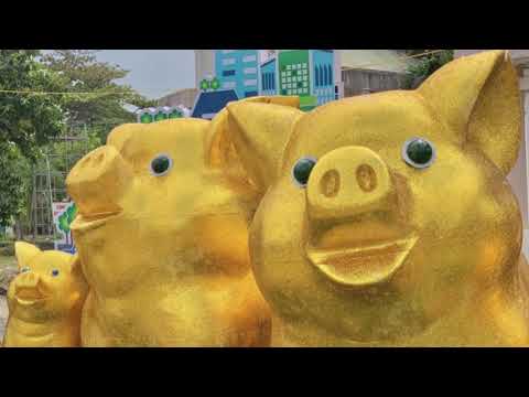 Đường Hoa Tân UYên 2019