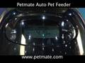 Petmate Automatic Feeder