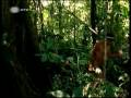 Protectores do Planeta: Boticário