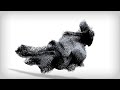 Click here to watch this video 2012 Here We Come