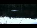 HOOKED Teaser 3