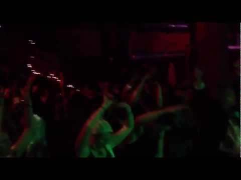 how to harvest aubergines