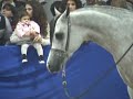 Fieracavalli Verona - HorseLife Style 2008