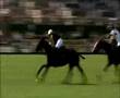 Nacho and Black Watch Polo Team