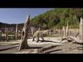T-rex vs Anatotitan