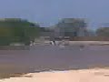 Los Pm Del Vivero En Chichiriveche Xdd ALbERT