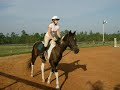 Foxwood Farm Lessons!!