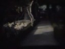 Auntie's Trip West 1954 (part 2)