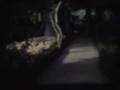 Auntie's Trip West 1954 (part 2)