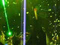 bjork-arena-di-verona-280708-declare-indipendence.html
