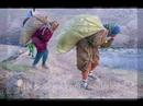MUJERES HUMANAS MUJERES DIVINAS