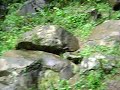 MOV03138.AVI