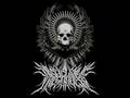 Disfiguring The Goddess - Pacifism of Insignificancy