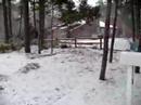 Neve!!! Primeira do ano de 2008 em East Quogue, NY.