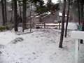 Neve!!! Primeira do ano de 2008 em East Quogue, NY.