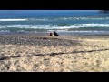 Adam and I at San Clemente Beach:) - YouTube