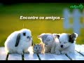 Seja Feliz! Seja Feliz!