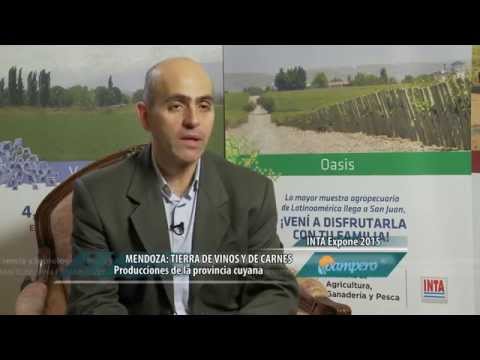 Imagen de previsualización de YouTube