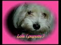 soap opera parody : the young and the restless (season 1) vf
parodie de la serie les feux de l'amour (saison 1 - mise en demeure) avec : debbie la m�chante abby-gaelle la tr�s tr�s m�chante courtney l'idiote et son chien lola la puputte et kimberley la gentille ... retrouvez la suite de la saison 1 les feux de l'amour (saison 2) la ran�on sur le blog
rmc � l'adresse suivante 
http://torola.rmc.fr