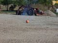Sparkler Bombs in a PUMPKIN.